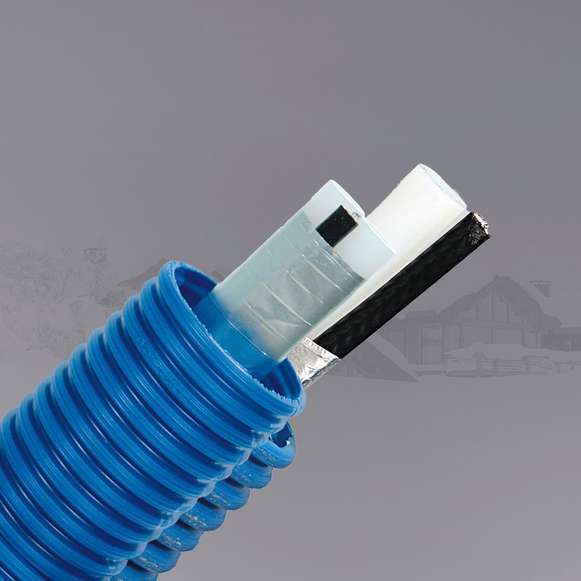 Isolex