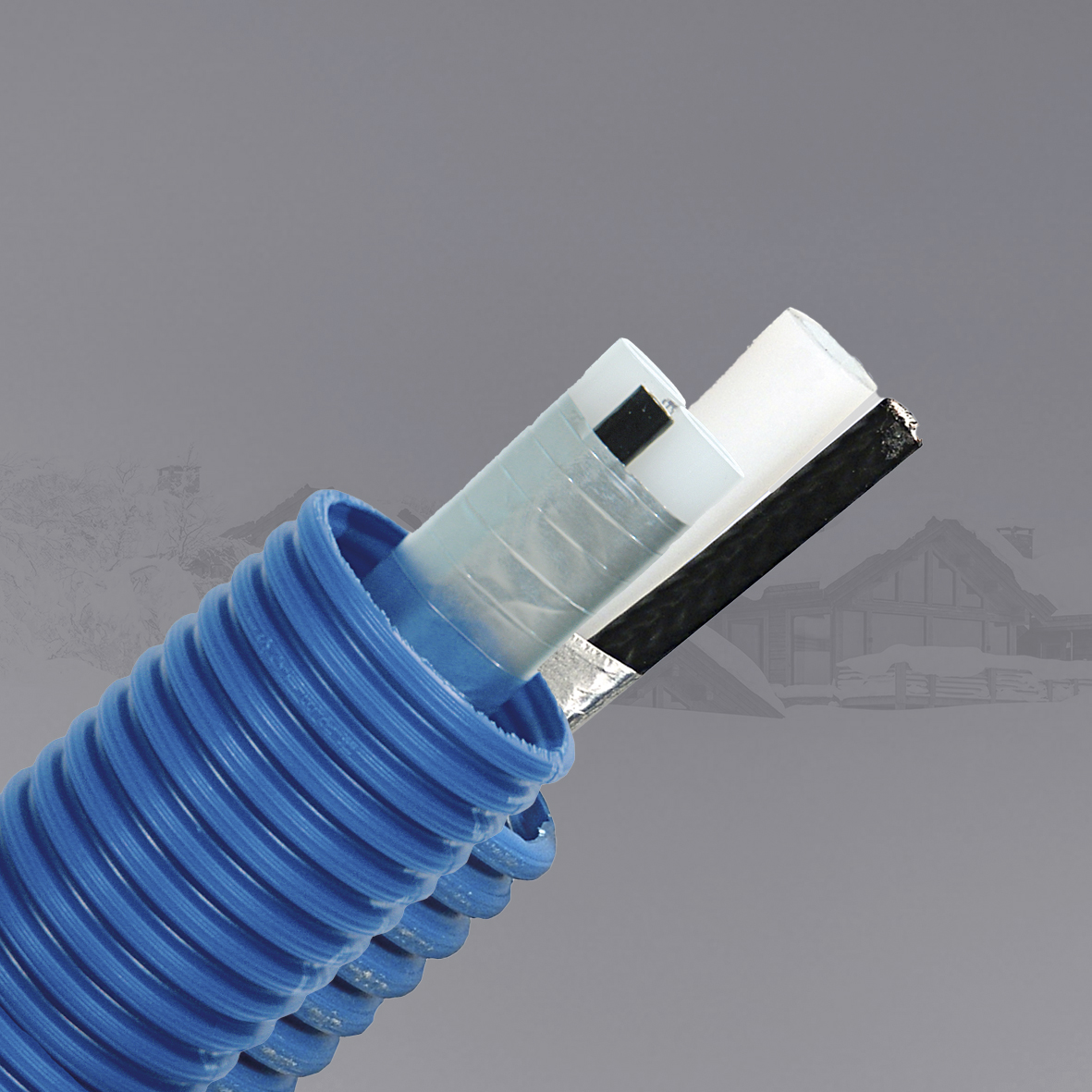 Isolex